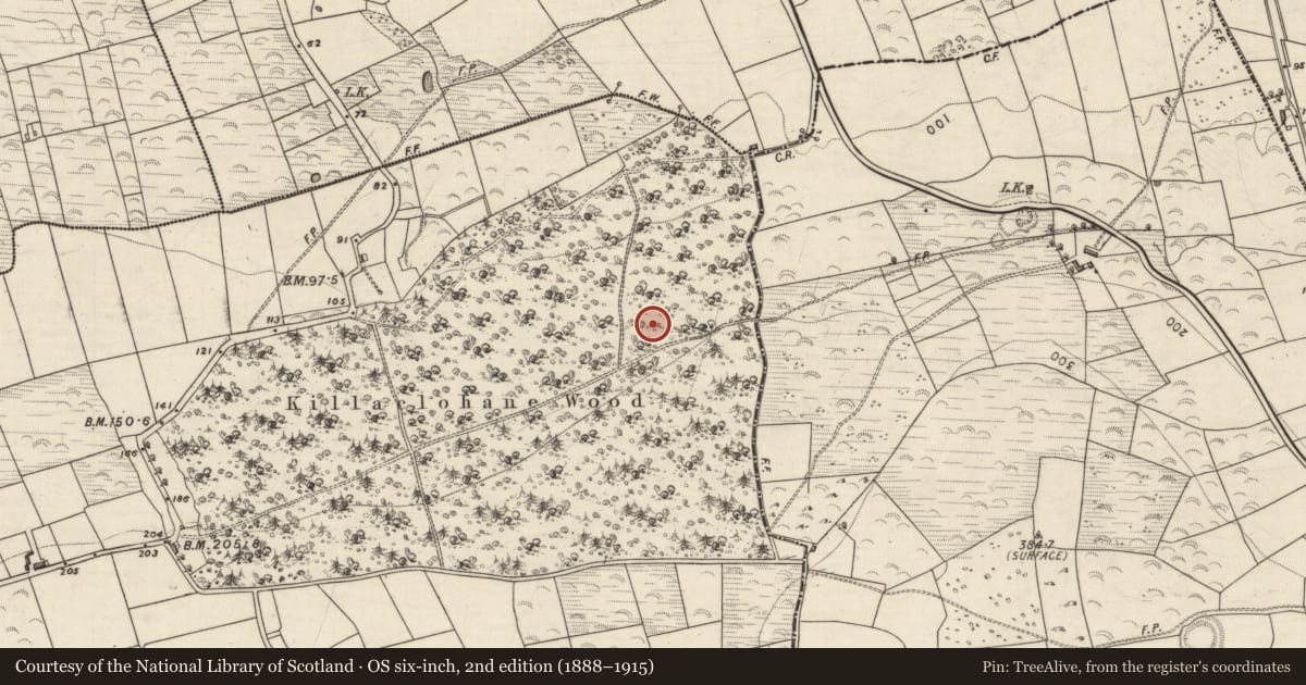 Ordnance Survey six-inch map, 2nd edition (1888–1915) covering the location of Mass-rock, Killaclohane, County Kerry, with a pin at the register's coordinates