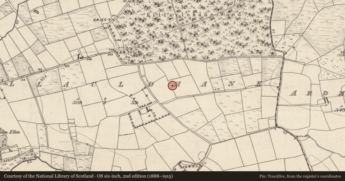 Ordnance Survey six-inch map, 2nd edition (1888–1915) covering the location of Enclosure, Killaclohane, County Kerry, with a pin at the register's coordinates