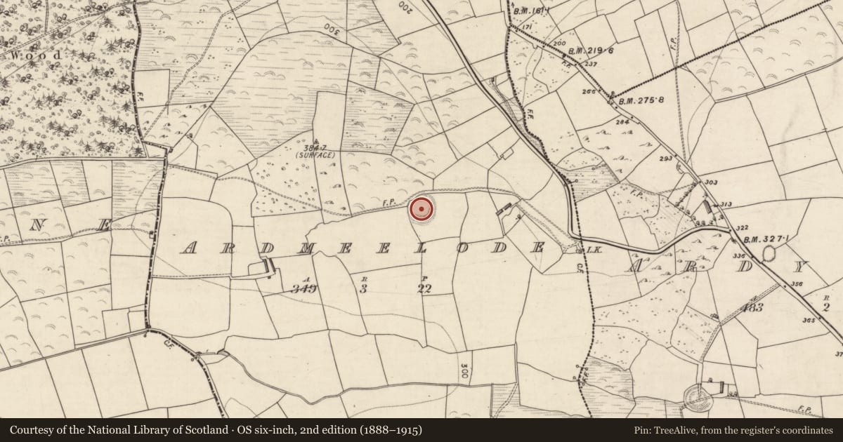 Ordnance Survey six-inch map, 2nd edition (1888–1915) covering the location of Ringfort - rath, Ardmeelode, County Kerry, with a pin at the register's coordinates