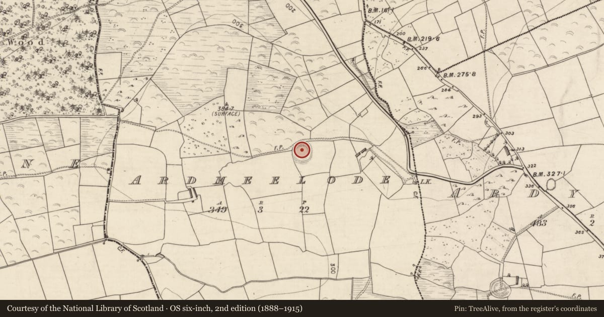 Ordnance Survey six-inch map, 2nd edition (1888–1915) covering the location of Souterrain, Ardmeelode, County Kerry, with a pin at the register's coordinates