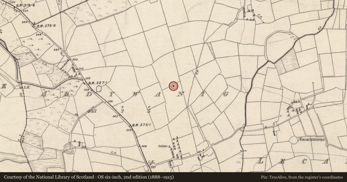 Ordnance Survey six-inch map, 2nd edition (1888–1915) covering the location of Ringfort - rath, Ardywanig, County Kerry, with a pin at the register's coordinates