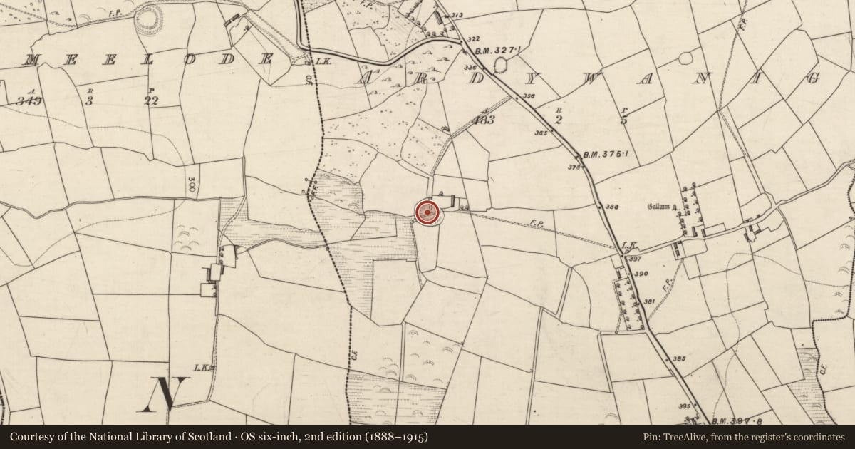 Ordnance Survey six-inch map, 2nd edition (1888–1915) covering the location of Souterrain, Ardywanig, County Kerry, with a pin at the register's coordinates