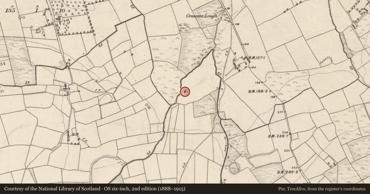 Ordnance Survey six-inch map, 2nd edition (1888–1915) covering the location of Ringfort - rath, Lecarhoo, County Kerry, with a pin at the register's coordinates