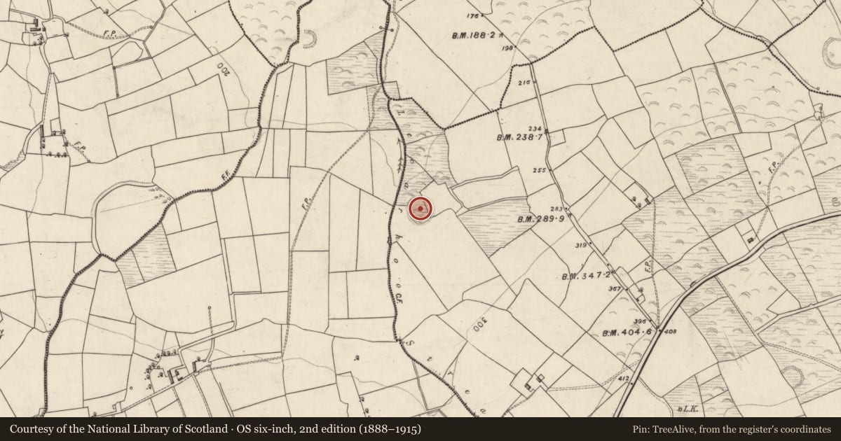 Ordnance Survey six-inch map, 2nd edition (1888–1915) covering the location of Ringfort - rath, Keelties, County Kerry, with a pin at the register's coordinates
