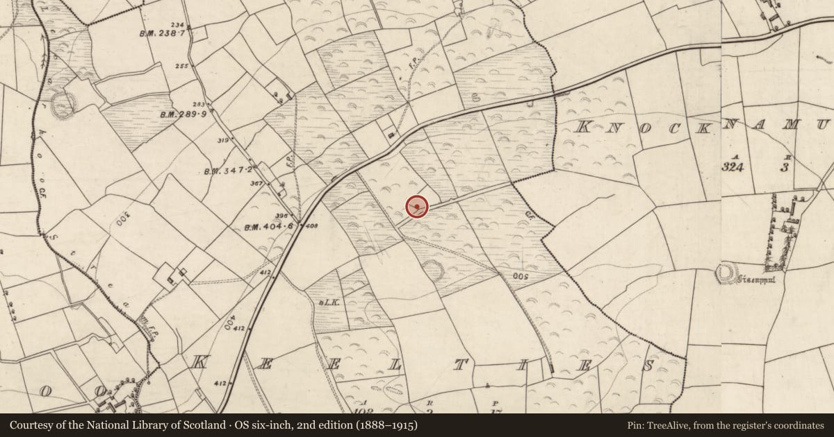 Ordnance Survey six-inch map, 2nd edition (1888–1915) covering the location of Enclosure, Keelties, County Kerry, with a pin at the register's coordinates