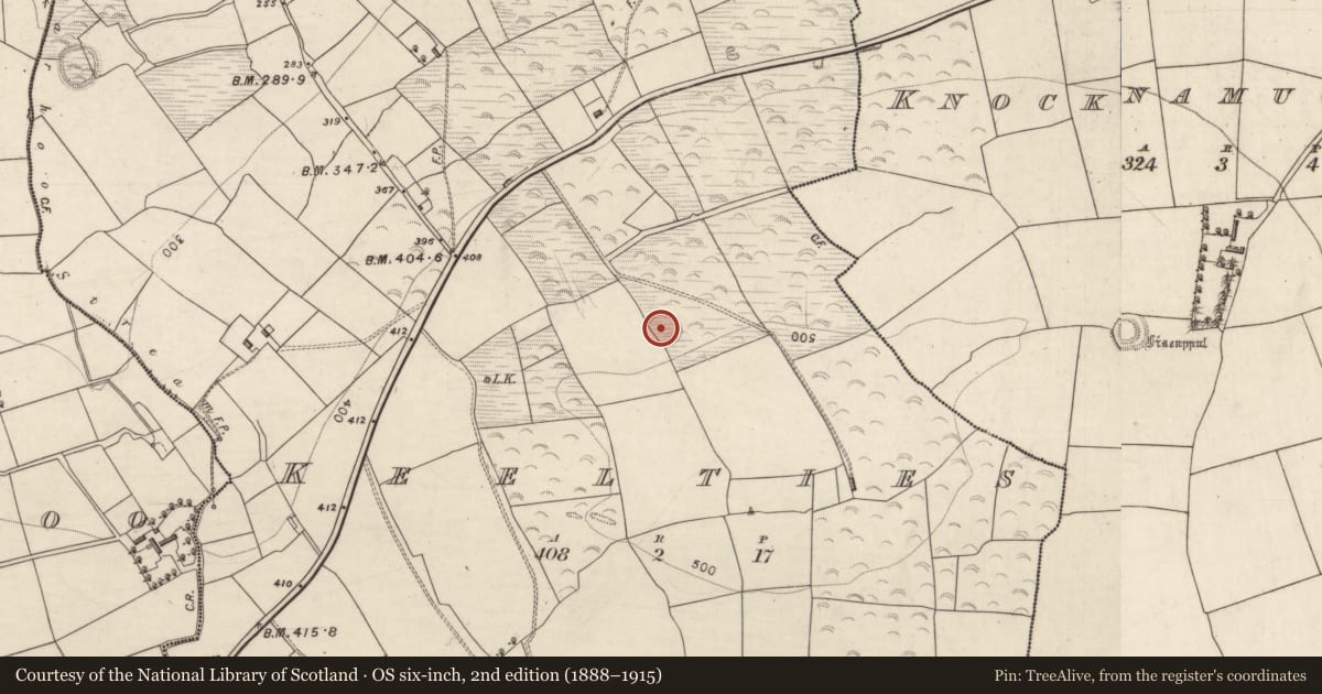 Ordnance Survey six-inch map, 2nd edition (1888–1915) covering the location of Ringfort - rath, Keelties, County Kerry, with a pin at the register's coordinates
