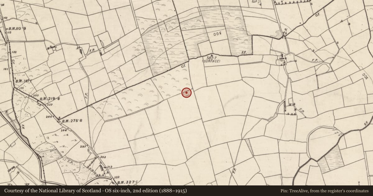 Ordnance Survey six-inch map, 2nd edition (1888–1915) covering the location of Ogham stone, Ardywanig, County Kerry, with a pin at the register's coordinates
