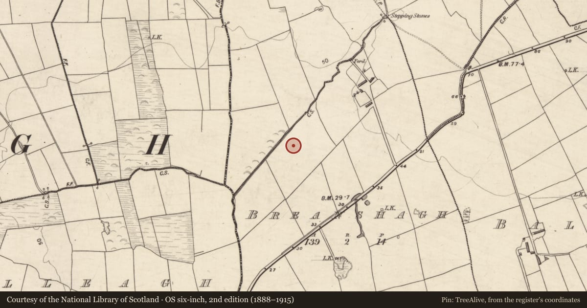 Ordnance Survey six-inch map, 2nd edition (1888–1915) covering the location of Ringfort - rath, Breanshagh, County Kerry, with a pin at the register's coordinates