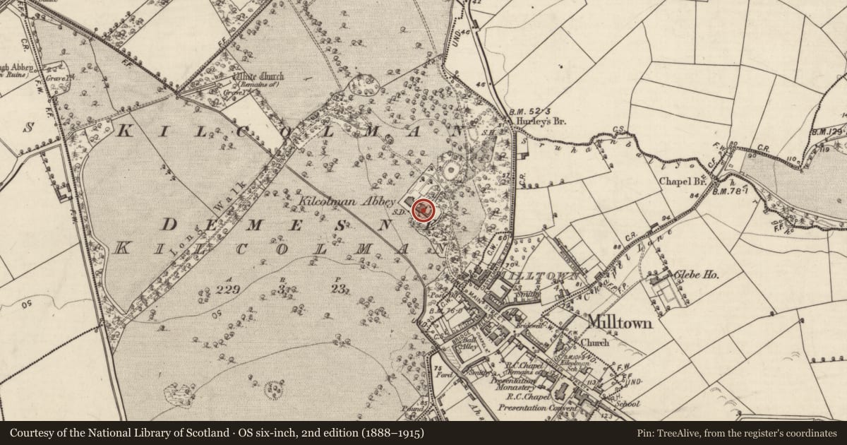 Ordnance Survey six-inch map, 2nd edition (1888–1915) covering the location of Castle - tower house, Kilcolman, County Kerry, with a pin at the register's coordinates