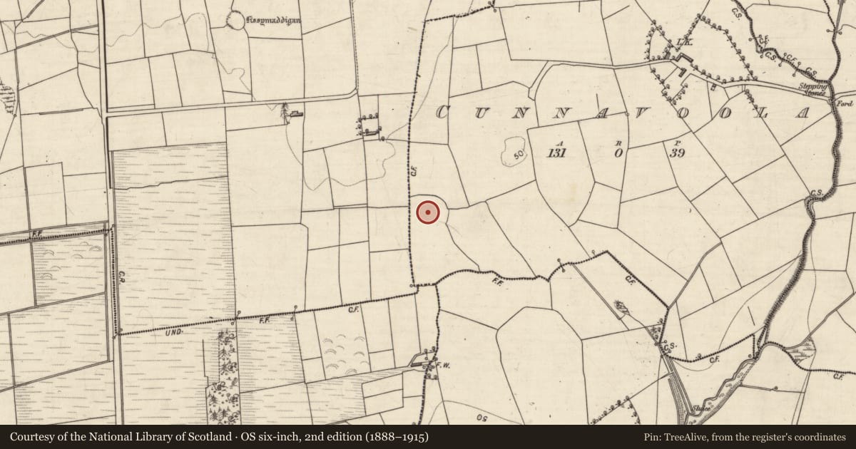 Ordnance Survey six-inch map, 2nd edition (1888–1915) covering the location of Enclosure, Cunnavoola, County Kerry, with a pin at the register's coordinates