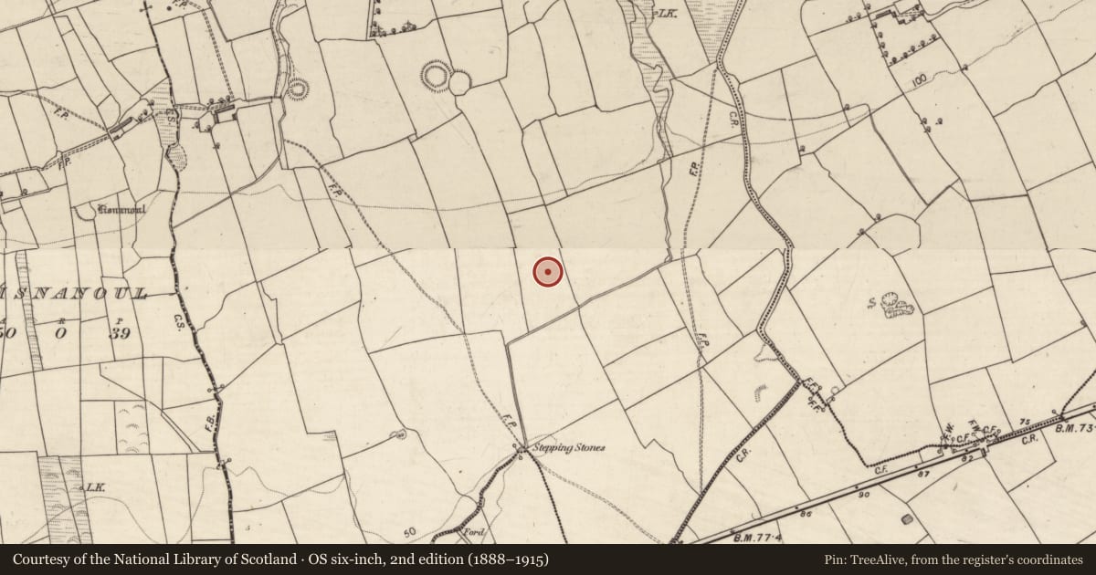 Ordnance Survey six-inch map, 2nd edition (1888–1915) covering the location of Rock art, Knockbrack, County Kerry, with a pin at the register's coordinates