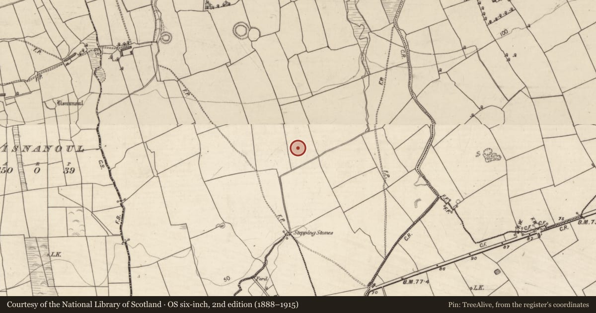 Ordnance Survey six-inch map, 2nd edition (1888–1915) covering the location of Ogham stone, Knockbrack, County Kerry, with a pin at the register's coordinates