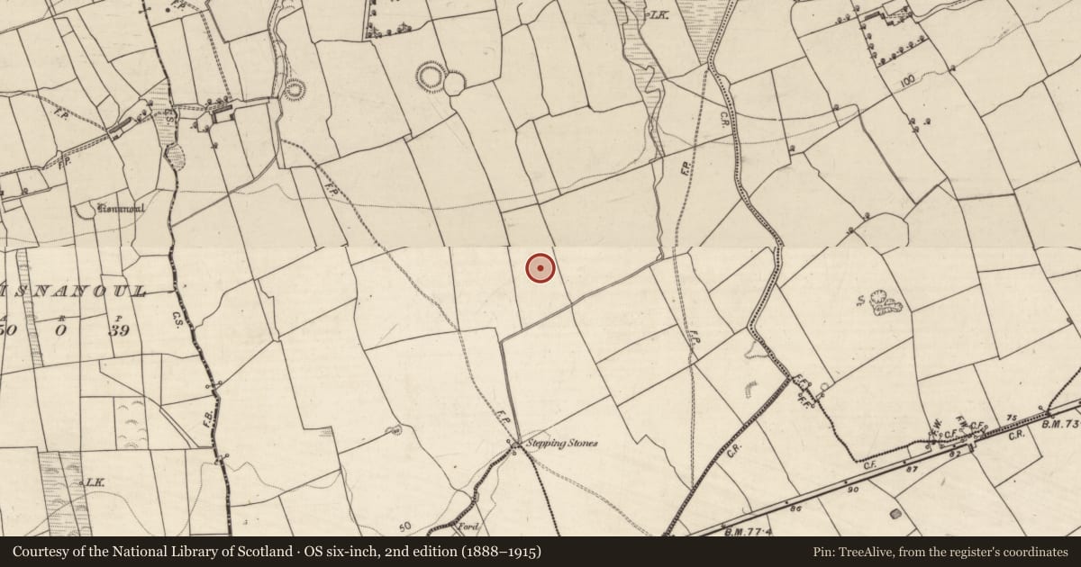Ordnance Survey six-inch map, 2nd edition (1888–1915) covering the location of Rock art, Knockbrack, County Kerry, with a pin at the register's coordinates