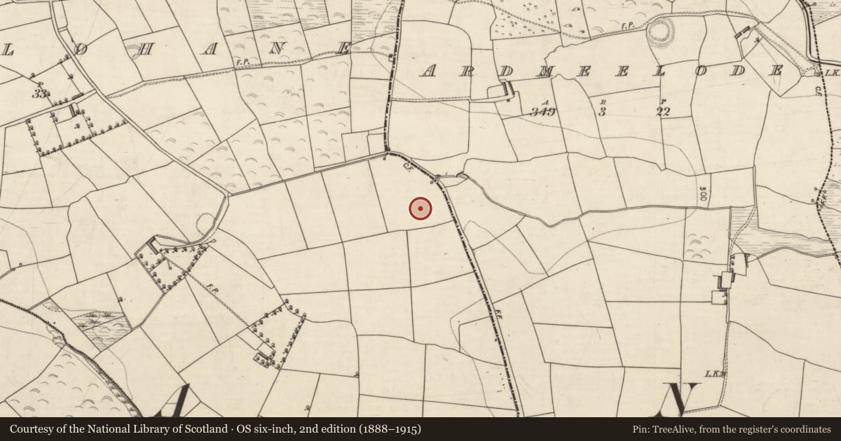 Ordnance Survey six-inch map, 2nd edition (1888–1915) covering the location of Standing stone, Killaclohane, County Kerry, with a pin at the register's coordinates