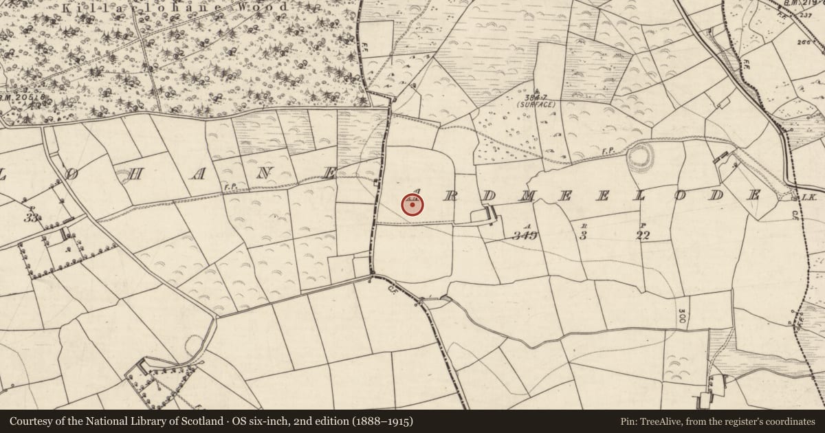 Ordnance Survey six-inch map, 2nd edition (1888–1915) covering the location of Standing stone, Ardmeelode, County Kerry, with a pin at the register's coordinates