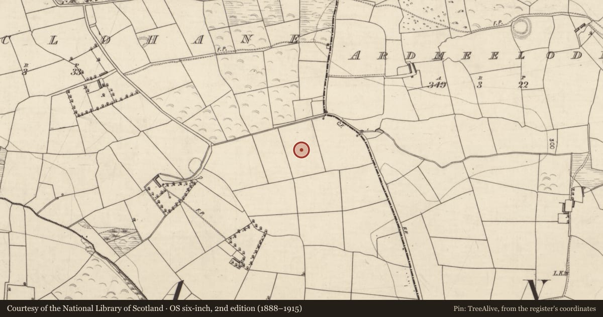 Ordnance Survey six-inch map, 2nd edition (1888–1915) covering the location of Fulacht fia, Killaclohane, County Kerry, with a pin at the register's coordinates
