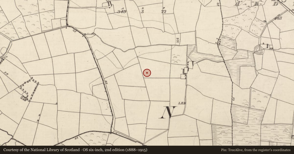 Ordnance Survey six-inch map, 2nd edition (1888–1915) covering the location of Stone circle, Ardmeelode, County Kerry, with a pin at the register's coordinates