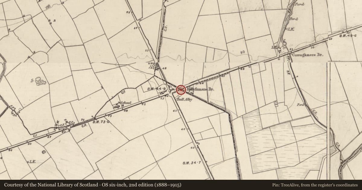 Ordnance Survey six-inch map, 2nd edition (1888–1915) covering the location of Bridge, Ballyfinnane, County Kerry, with a pin at the register's coordinates