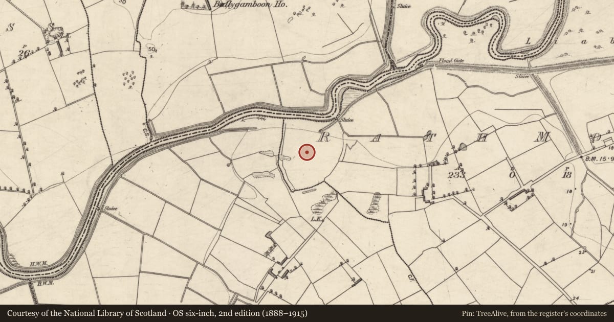 Ordnance Survey six-inch map, 2nd edition (1888–1915) covering the location of Enclosure, Rath Beg, Rath More, County Kerry, with a pin at the register's coordinates