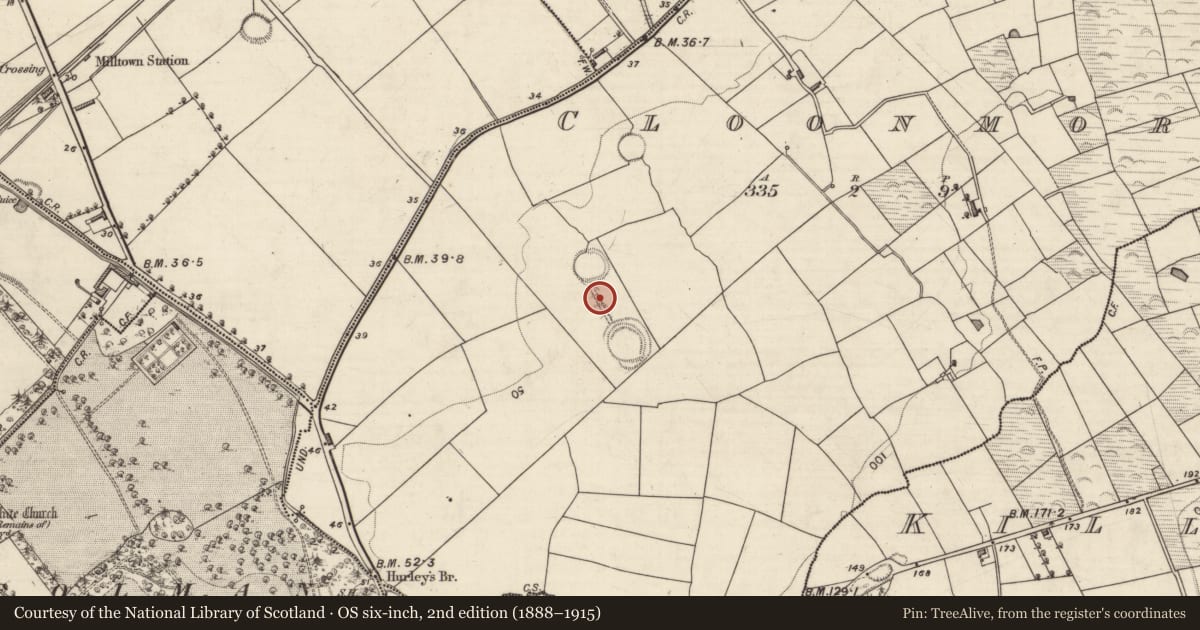 Ordnance Survey six-inch map, 2nd edition (1888–1915) covering the location of Souterrain, Cloonmore, County Kerry, with a pin at the register's coordinates