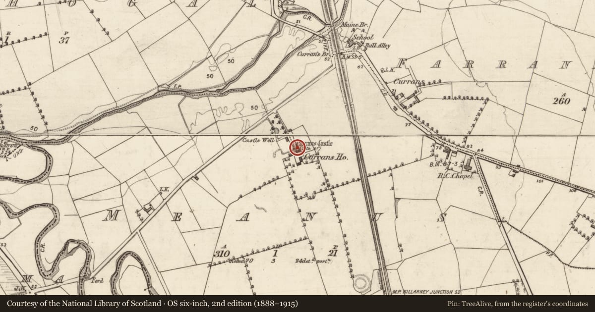 Ordnance Survey six-inch map, 2nd edition (1888–1915) covering the location of Castle - unclassified, Meanus, County Kerry, with a pin at the register's coordinates