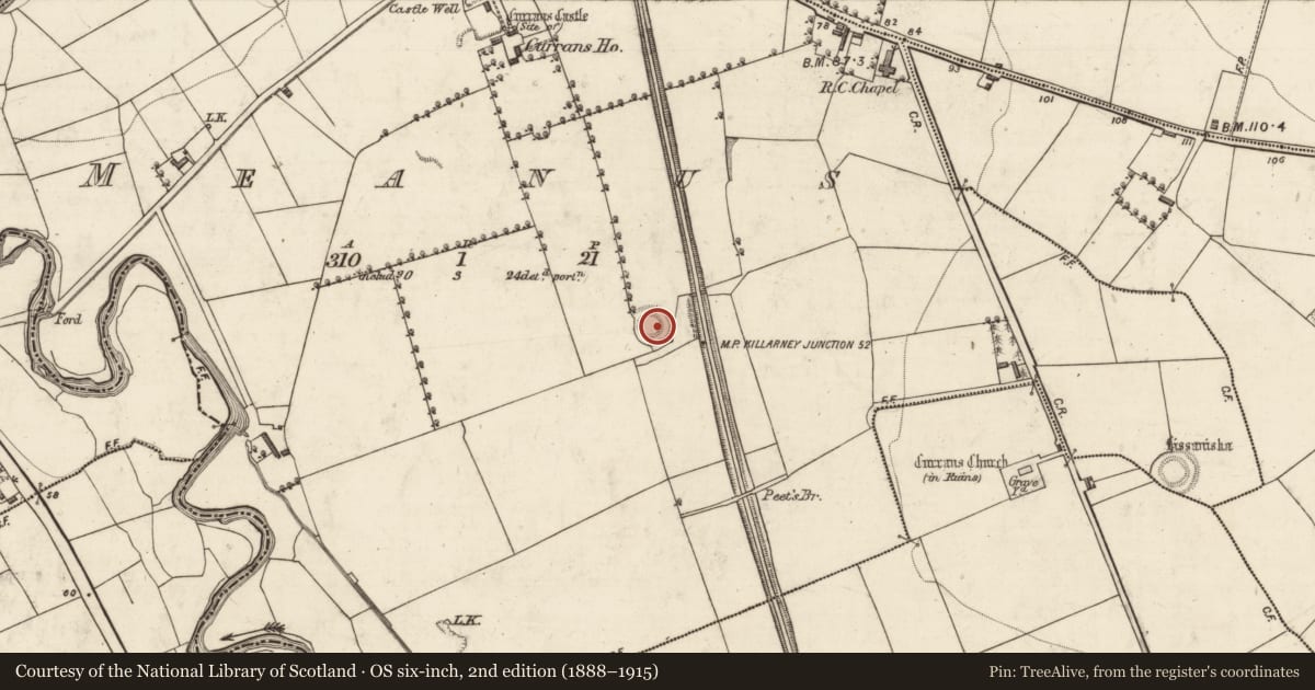 Ordnance Survey six-inch map, 2nd edition (1888–1915) covering the location of Ringfort - rath, Meanus, County Kerry, with a pin at the register's coordinates