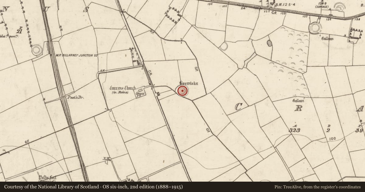 Ordnance Survey six-inch map, 2nd edition (1888–1915) covering the location of Ringfort - rath, Ardcrone, Meanus, County Kerry, with a pin at the register's coordinates