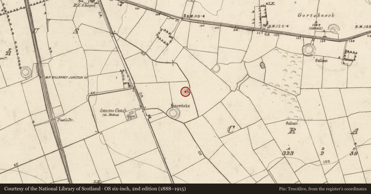 Ordnance Survey six-inch map, 2nd edition (1888–1915) covering the location of Enclosure, Meanus, County Kerry, with a pin at the register's coordinates