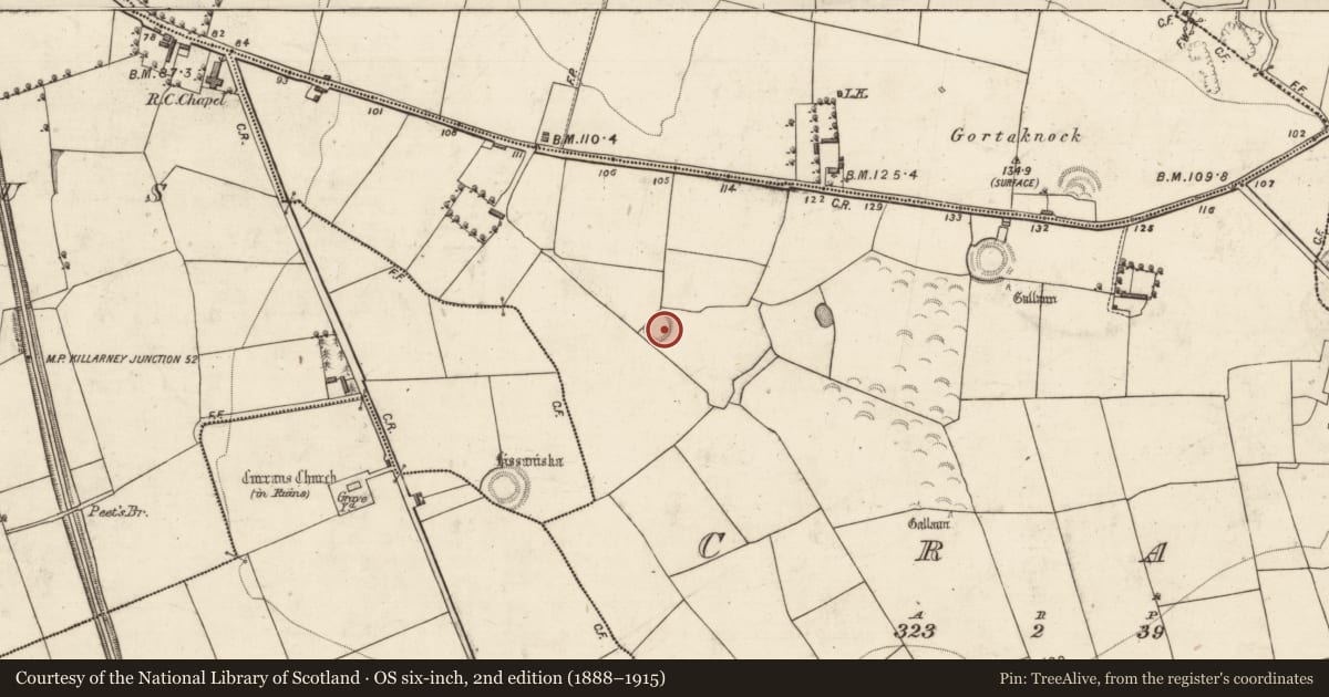 Ordnance Survey six-inch map, 2nd edition (1888–1915) covering the location of Enclosure, Crag, County Kerry, with a pin at the register's coordinates