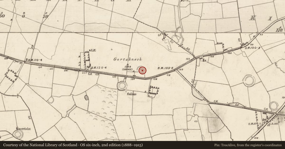 Ordnance Survey six-inch map, 2nd edition (1888–1915) covering the location of Barrow - ring-barrow, Farranamranagh, County Kerry, with a pin at the register's coordinates