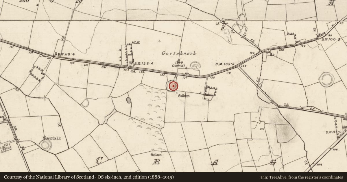 Ordnance Survey six-inch map, 2nd edition (1888–1915) covering the location of Ringfort - rath, Crag, County Kerry, with a pin at the register's coordinates