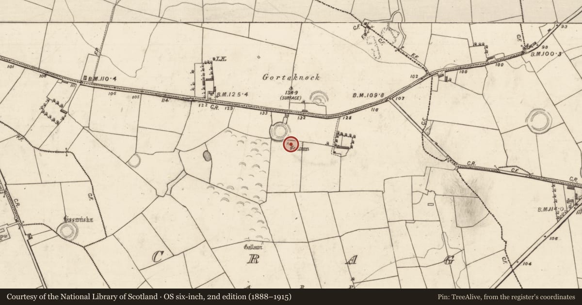 Ordnance Survey six-inch map, 2nd edition (1888–1915) covering the location of Standing stone, Crag, County Kerry, with a pin at the register's coordinates