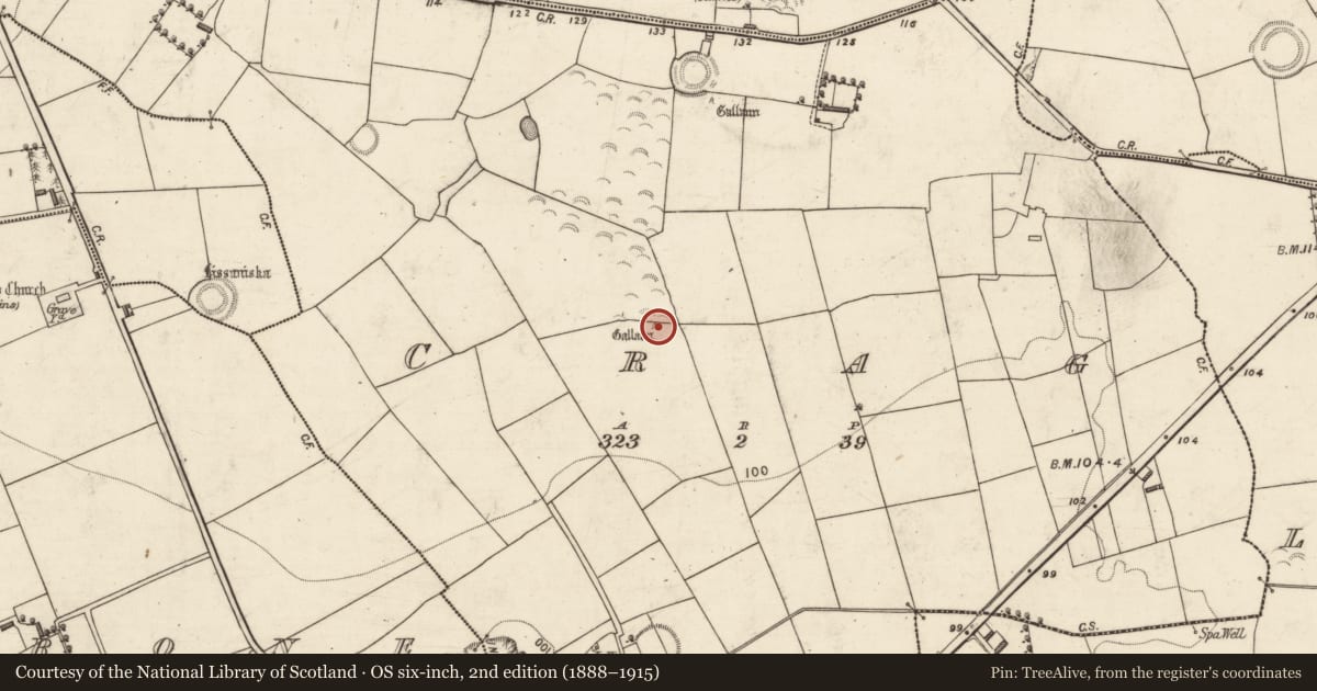 Ordnance Survey six-inch map, 2nd edition (1888–1915) covering the location of Ogham stone, Crag, County Kerry, with a pin at the register's coordinates