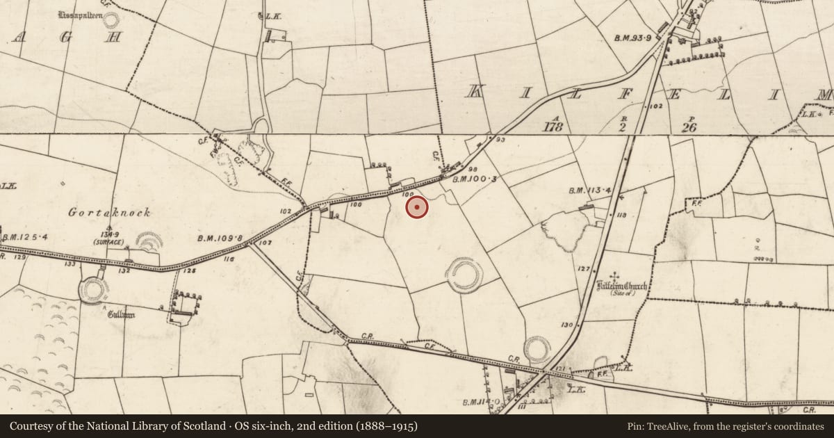 Ordnance Survey six-inch map, 2nd edition (1888–1915) covering the location of Standing stone, Kilfelim, County Kerry, with a pin at the register's coordinates