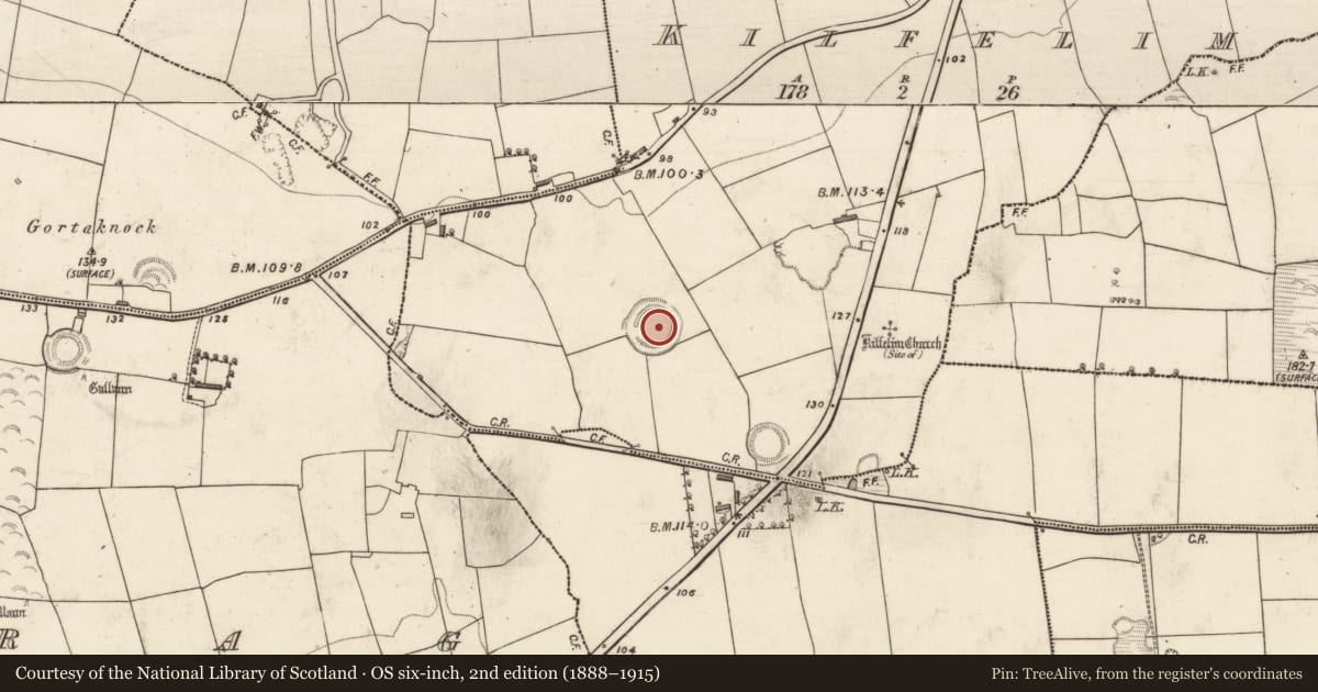 Ordnance Survey six-inch map, 2nd edition (1888–1915) covering the location of Ringfort - rath, Kilfelim, County Kerry, with a pin at the register's coordinates