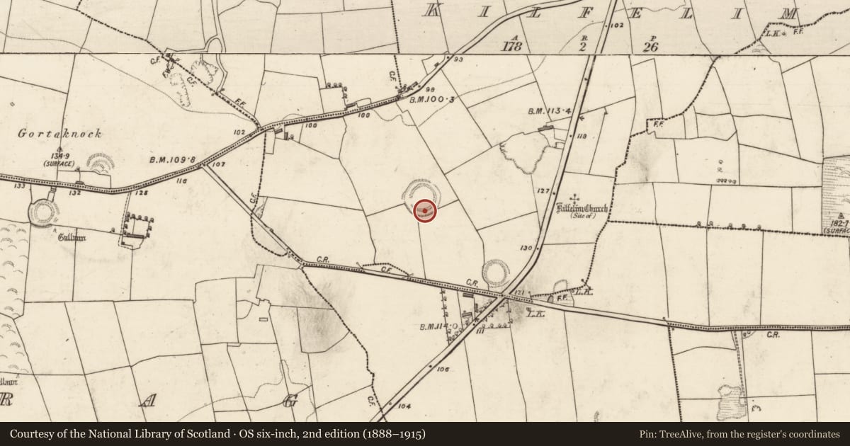 Ordnance Survey six-inch map, 2nd edition (1888–1915) covering the location of Souterrain, Kilfelim, County Kerry, with a pin at the register's coordinates