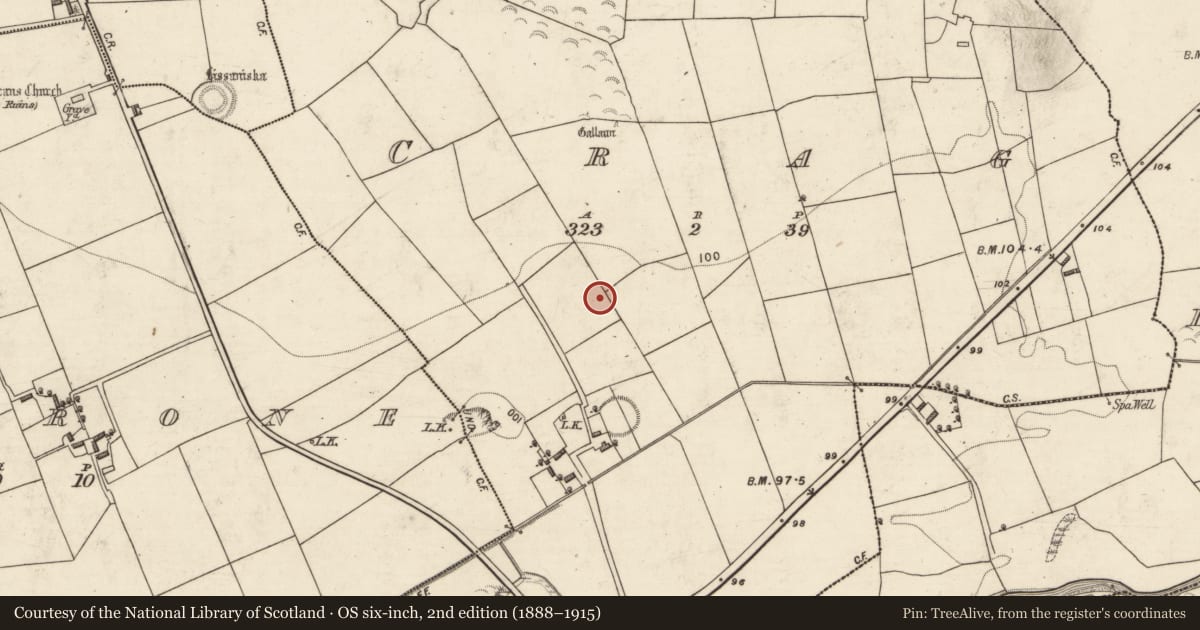 Ordnance Survey six-inch map, 2nd edition (1888–1915) covering the location of Fulacht fia, Crag, County Kerry, with a pin at the register's coordinates