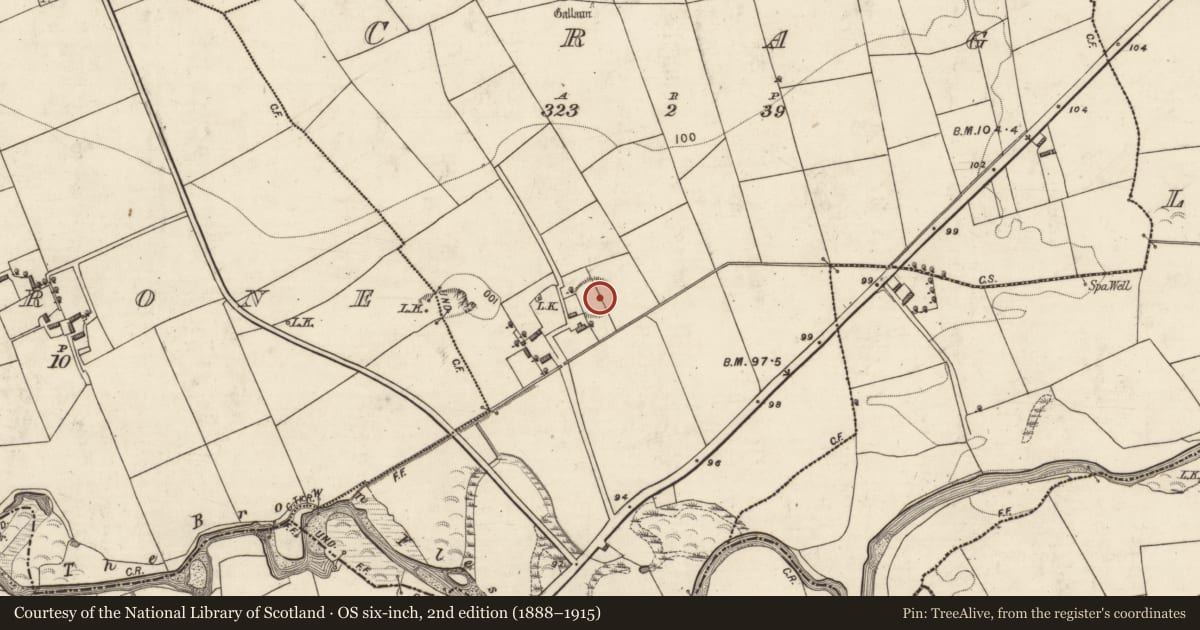 Ordnance Survey six-inch map, 2nd edition (1888–1915) covering the location of Enclosure, Crag, County Kerry, with a pin at the register's coordinates