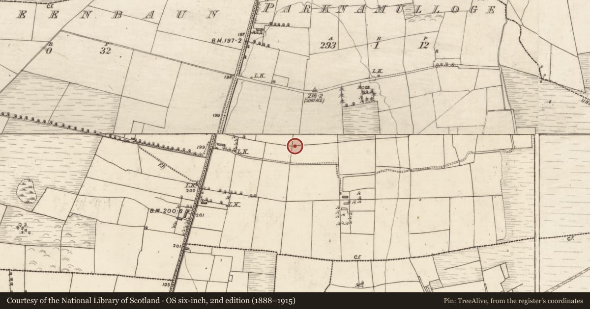 Ordnance Survey six-inch map, 2nd edition (1888–1915) covering the location of Enclosure, Parknamulloge, County Kerry, with a pin at the register's coordinates