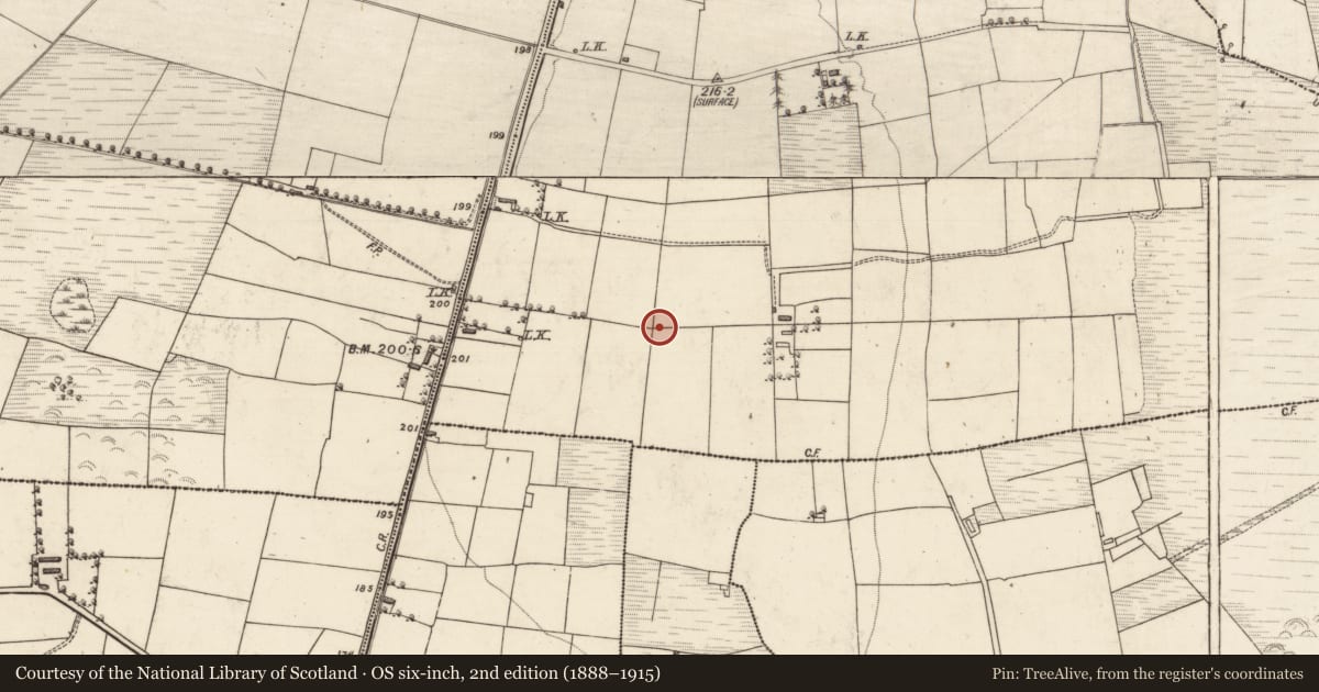 Ordnance Survey six-inch map, 2nd edition (1888–1915) covering the location of Enclosure, Parknamulloge, County Kerry, with a pin at the register's coordinates