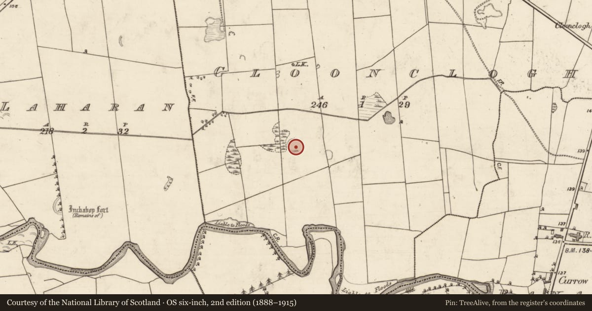 Ordnance Survey six-inch map, 2nd edition (1888–1915) covering the location of Ringfort - rath, Cloonclogh, County Kerry, with a pin at the register's coordinates