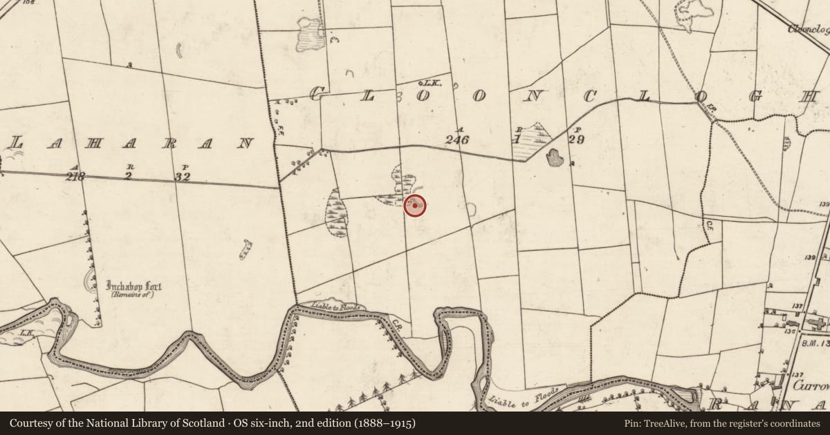 Ordnance Survey six-inch map, 2nd edition (1888–1915) covering the location of Souterrain, Cloonclogh, County Kerry, with a pin at the register's coordinates