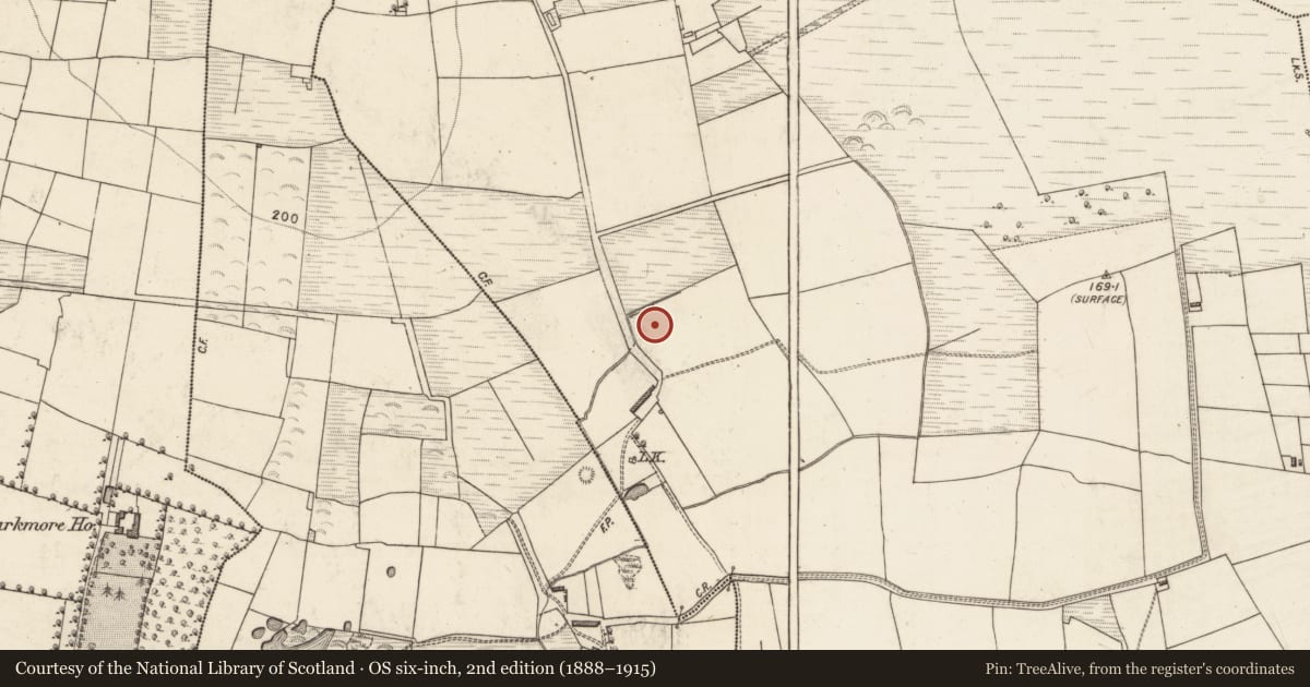 Ordnance Survey six-inch map, 2nd edition (1888–1915) covering the location of Fulacht fia, Ballybeg, County Kerry, with a pin at the register's coordinates