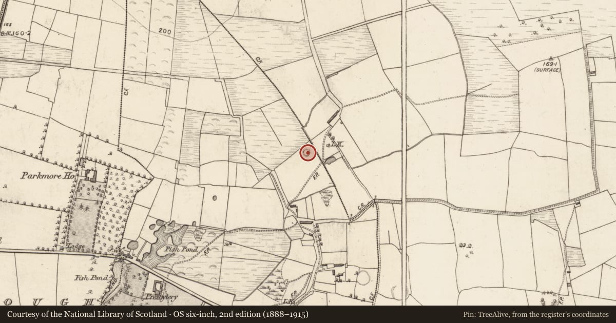 Ordnance Survey six-inch map, 2nd edition (1888–1915) covering the location of Fulacht fia, Killeentierna, County Kerry, with a pin at the register's coordinates