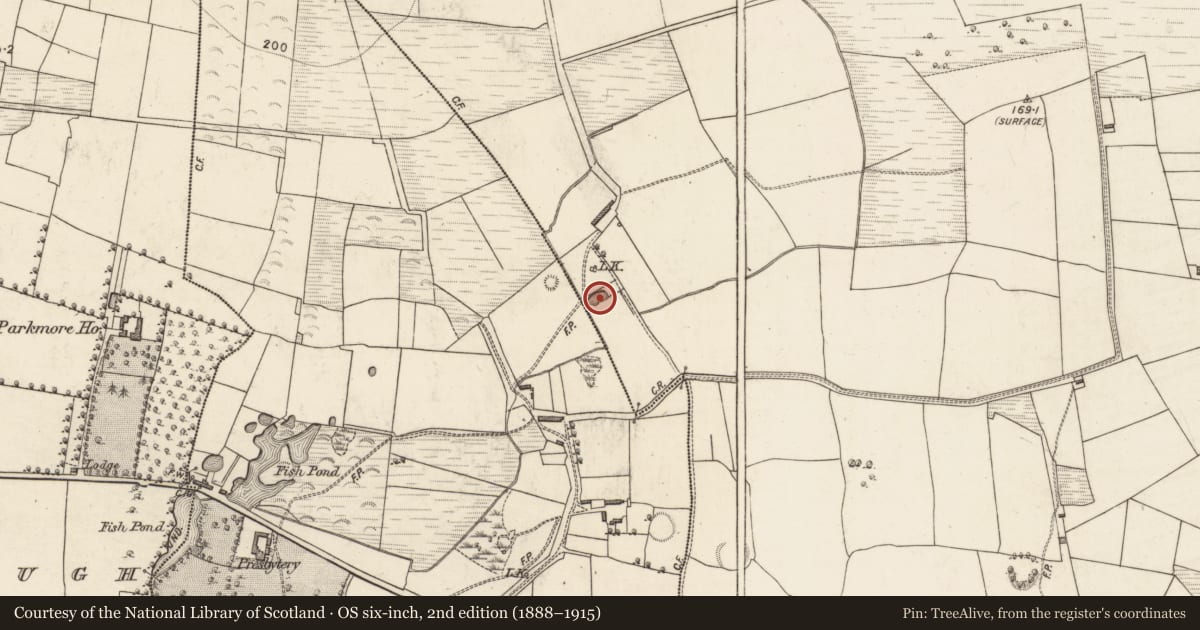 Ordnance Survey six-inch map, 2nd edition (1888–1915) covering the location of Enclosure, Ballybeg, County Kerry, with a pin at the register's coordinates