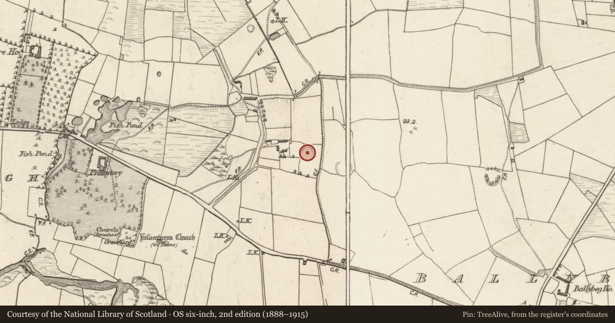 Ordnance Survey six-inch map, 2nd edition (1888–1915) covering the location of Ringfort - rath, Killeentierna, County Kerry, with a pin at the register's coordinates