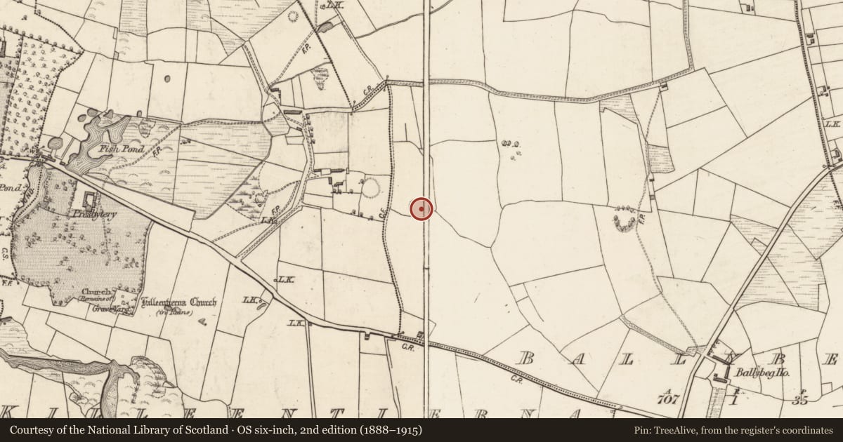Ordnance Survey six-inch map, 2nd edition (1888–1915) covering the location of Ringfort - rath, Ballybeg, County Kerry, with a pin at the register's coordinates