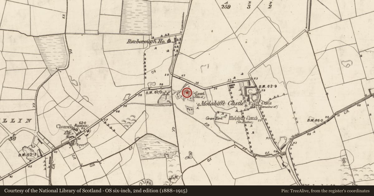 Ordnance Survey six-inch map, 2nd edition (1888–1915) covering the location of Castle - unclassified, Castlefarm, County Kerry, with a pin at the register's coordinates