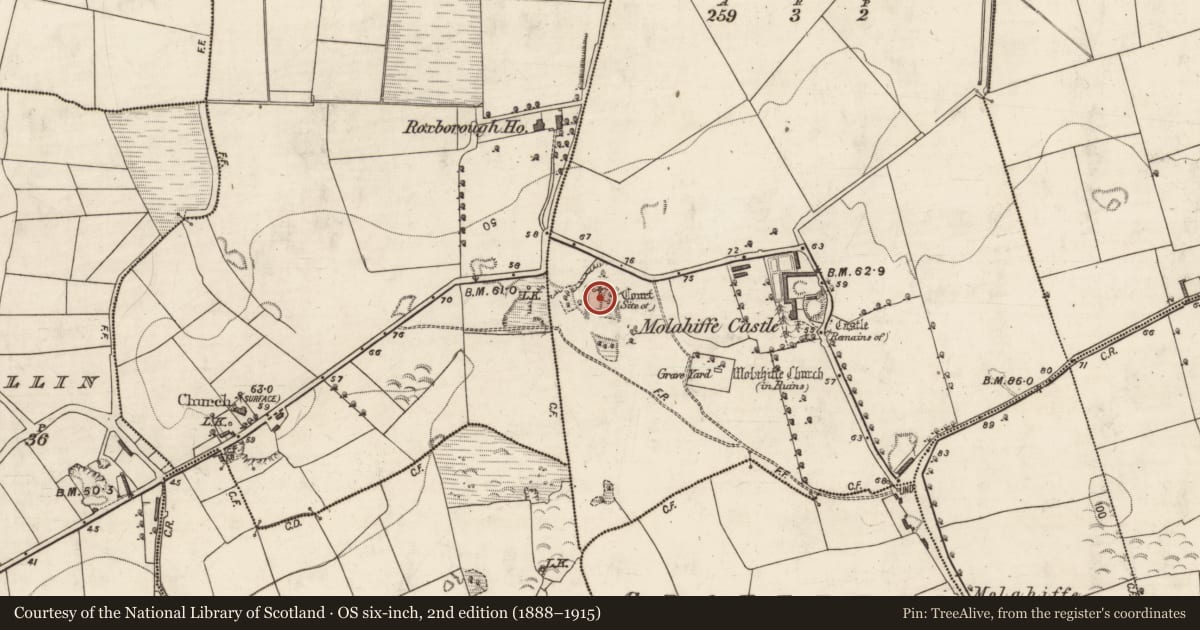 Ordnance Survey six-inch map, 2nd edition (1888–1915) covering the location of Earthwork, Castlefarm, County Kerry, with a pin at the register's coordinates