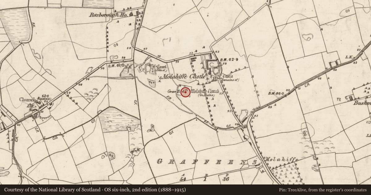 Ordnance Survey six-inch map, 2nd edition (1888–1915) covering the location of Church, Castlefarm, County Kerry, with a pin at the register's coordinates